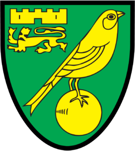 Yellow/Green Norwich City FC Crest Filled Cushion One Size 