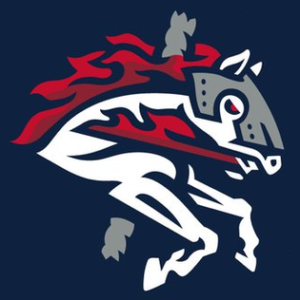 Binghamton Rumble Ponies cap insignia