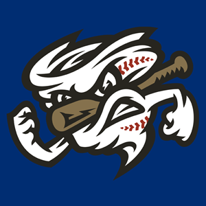 Omaha Storm Chasers Team Colors | HEX, RGB, CMYK, PANTONE COLOR CODES ...