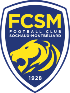 Sochaux Team Colors | HEX, RGB, CMYK, PANTONE COLOR CODES OF SPORTS TEAMS