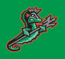 Norfolk Tides cap insignia