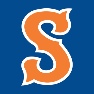 Syracuse Mets Team Colors | HEX, RGB, CMYK, PANTONE COLOR CODES OF ...