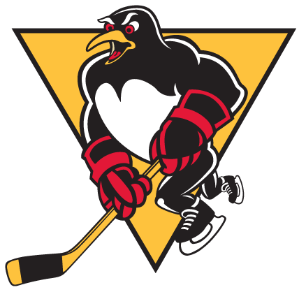 Wilkes-Barre/Scranton Penguins Team Colors | HEX, RGB, CMYK, PANTONE ...