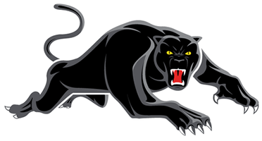 Penrith Panthers Team Colors | HEX, RGB, CMYK, PANTONE COLOR CODES OF ...