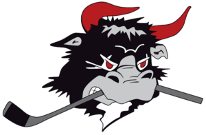 Rødovre Mighty Bulls Logo
