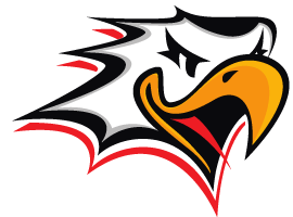 Vaasan Sport Logo