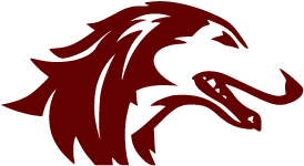 Southern Illinois Salukis Colors