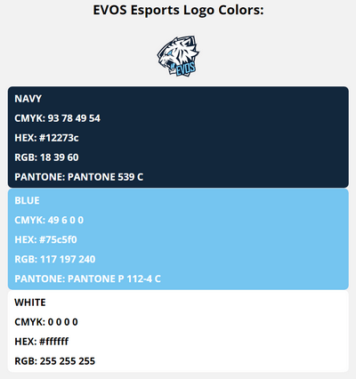 evos esports team colors codes in HEX, CMYK, RGB, and Pantone