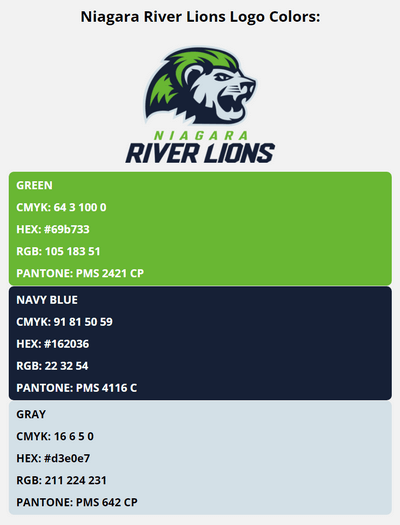 niagara river lions team color codes in HEX, RGB, CMYK, and Pantone