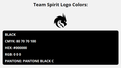 team spirit team colors codes in HEX, CMYK, RGB, and Pantone