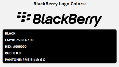 blackberry brand colors in HEX, RGB, CMYK, and Pantone