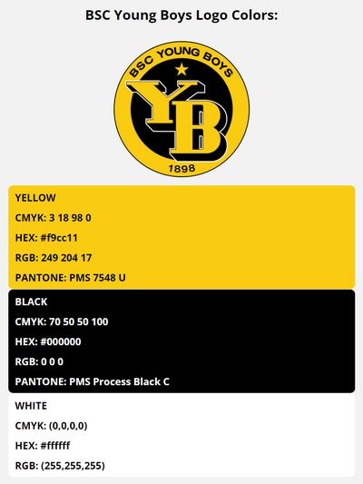 bsc young boys team colors codes in HEX, RGB, CMYK, and Pantone